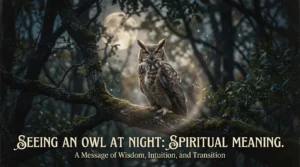 spiritual meaning of raven